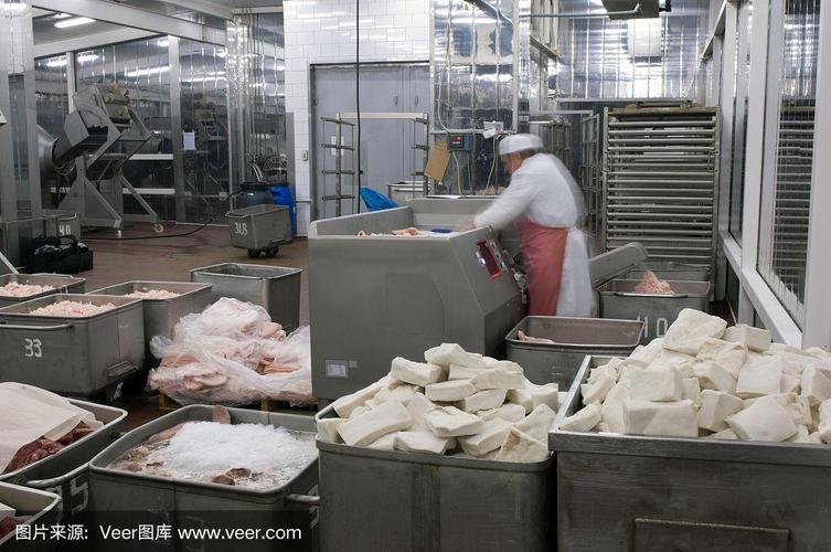 食品加工厂的绞肉机生产设备