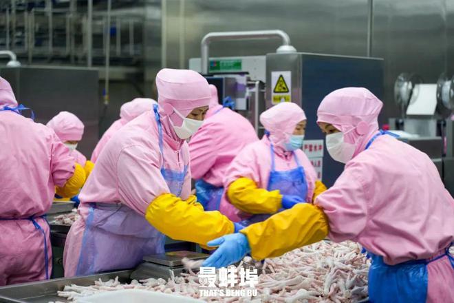 蚌埠人是如何靠一只鸡"征服"全世界的?