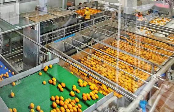 重庆:金融业多措并举 助力食品及农产品加工产业高质量发展